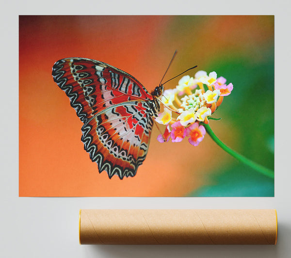 Colourful Butterfly Rests