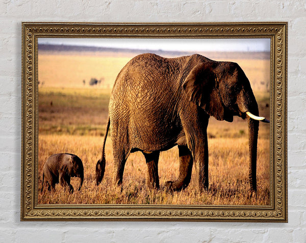 Elephant Mother And Baby