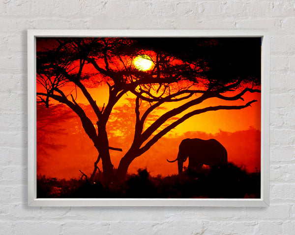 Elephant Safari Sunrise