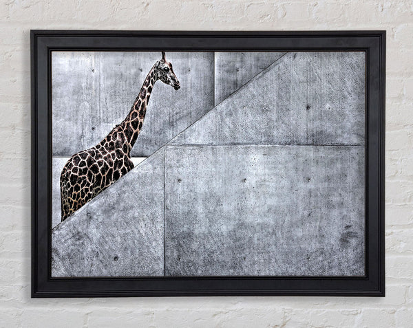 Giraffe Climbing Stairs