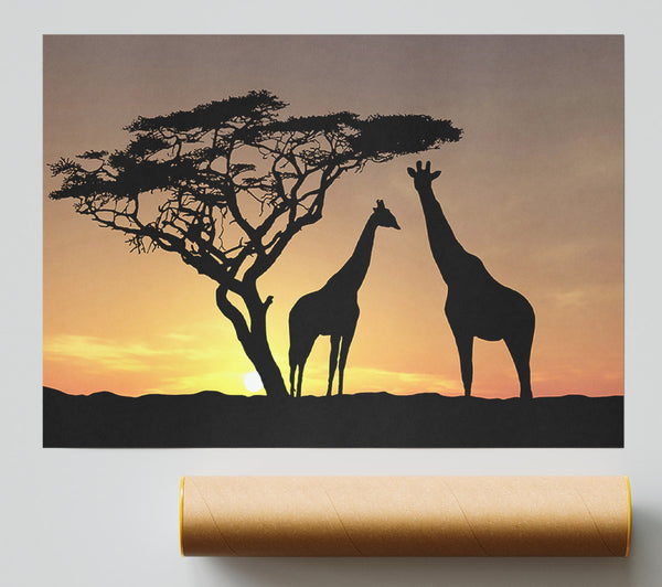 Giraffes At Sunset