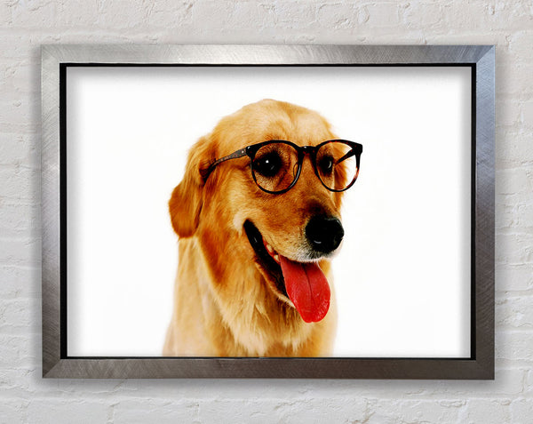 Golden Retriever Nerd