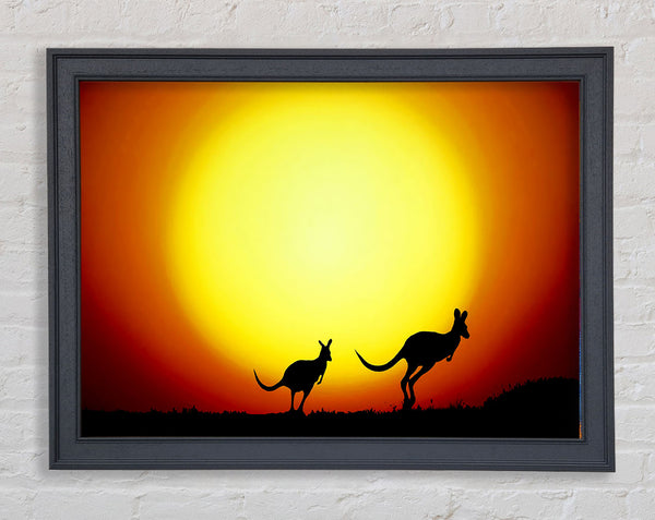 Kangaroos By Sunlight