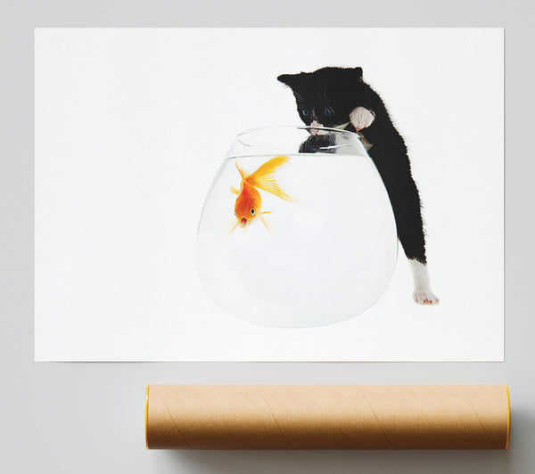 Kitten Fish Bowl