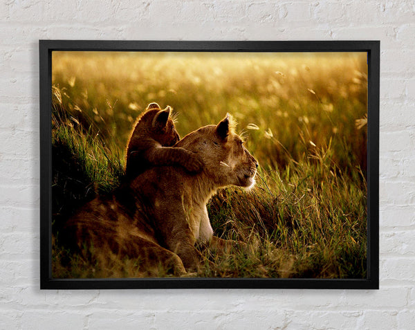 Lioness And Cub