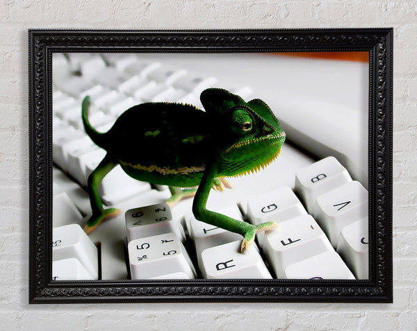 Lizard Keyboard