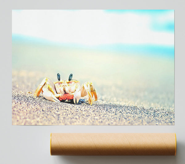 Lonely Crab