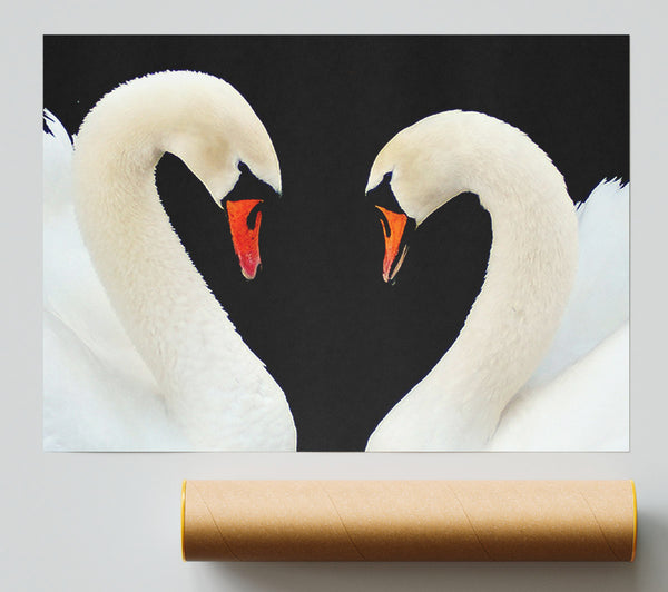 Love Heart Swans