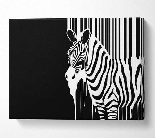 Melting Zebra