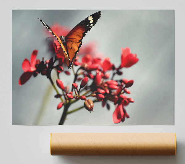 Orange Butterfly On Flower