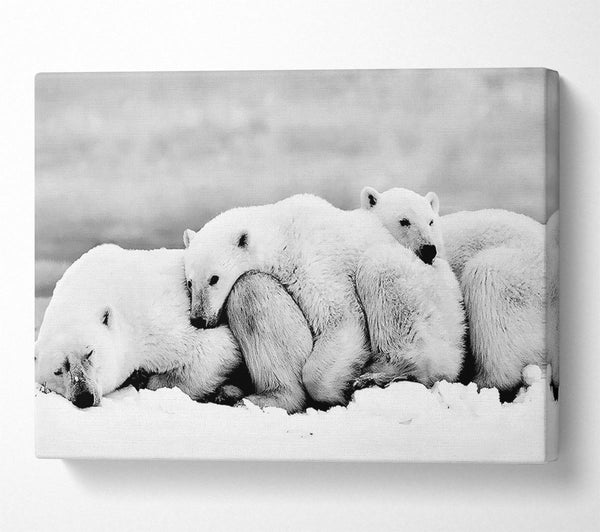 Polar bear Family