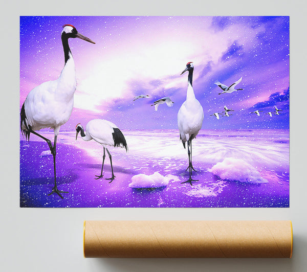 Red Crowned Cranes Japan