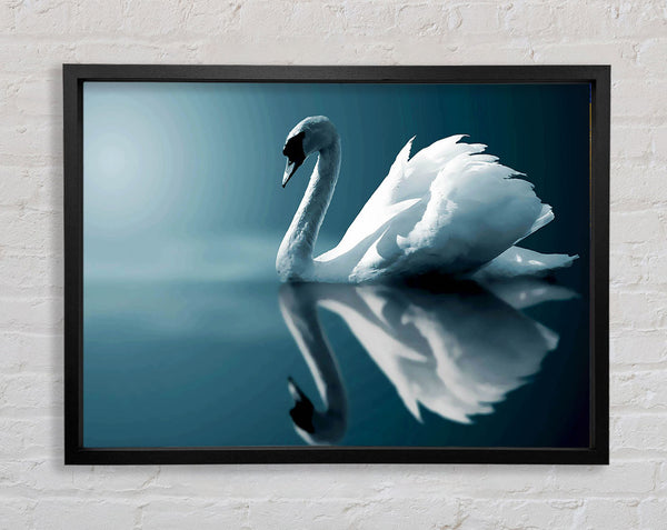 Reflections Of A Swan