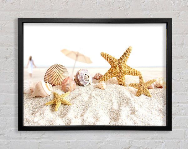 Seashells And Starfish On The Beach