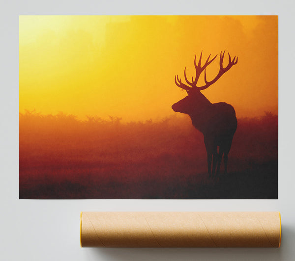 Stag At Sunset