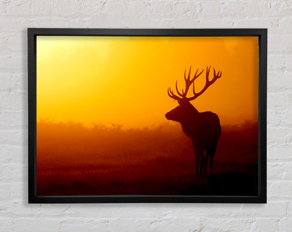 Stag At Sunset