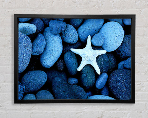 Star Fish Rocks