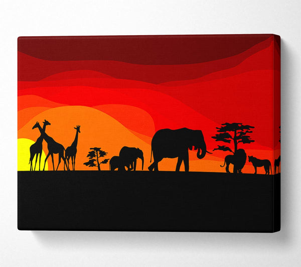 Sunset Safari