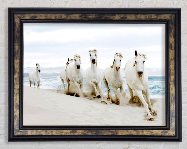 White Ocean Horses