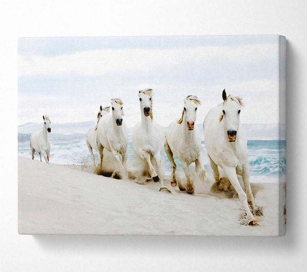 White Ocean Horses