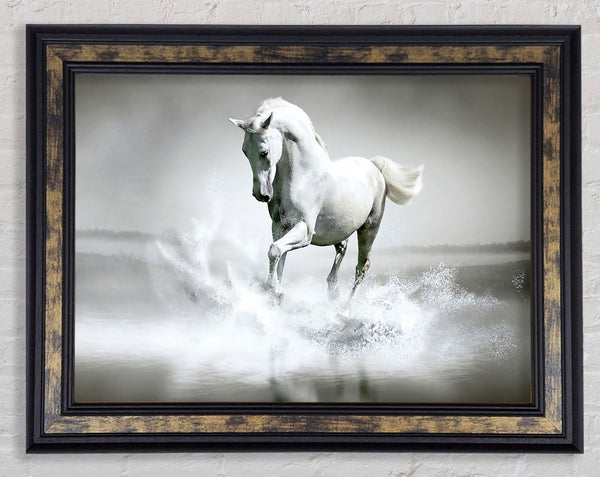 White Water Horse