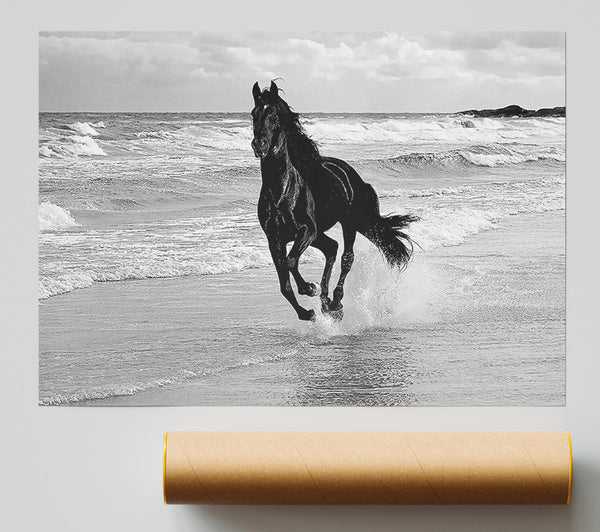 Wild Stallion In The Ocean