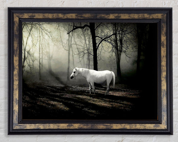 Wild White Unicorn In The Woodland