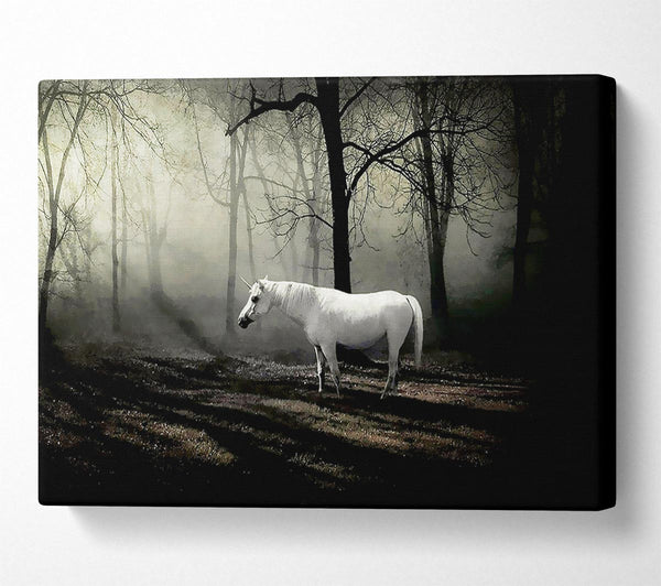 Wild White Unicorn In The Woodland