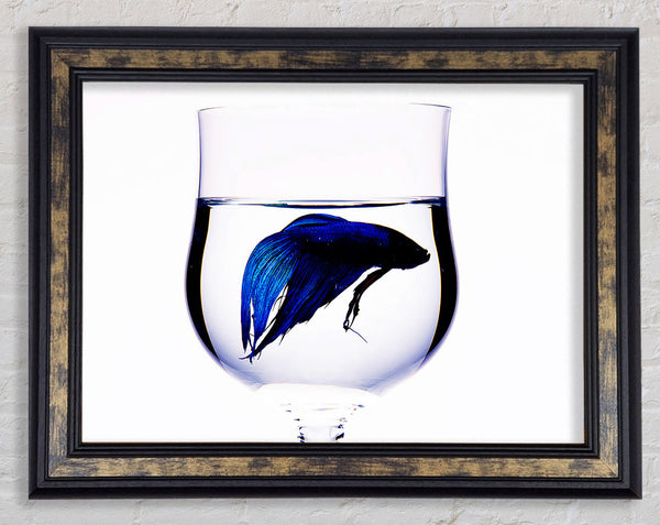 Wineglass Fish