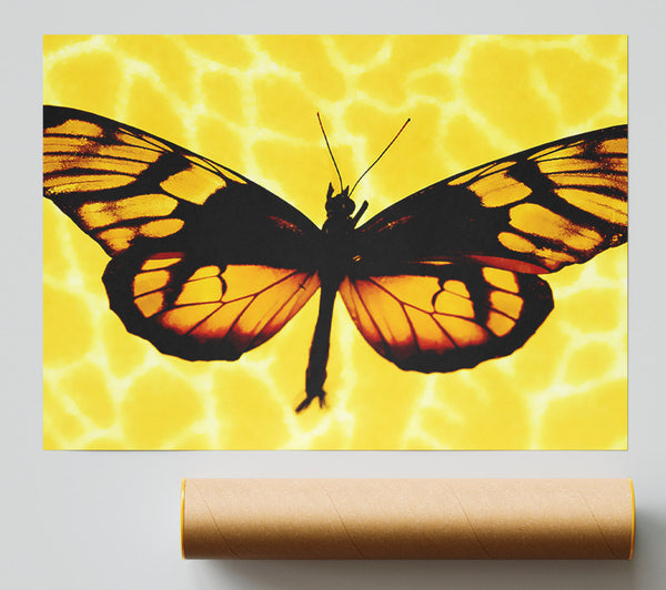 Yellow Butterfly Wings