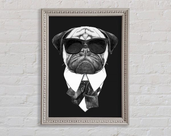 Mafia Pug Dog