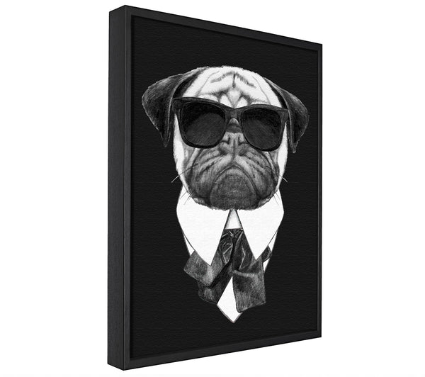 A picture of a Mafia Pug Dog framed canvas print sold by Wallart-Direct.co.uk