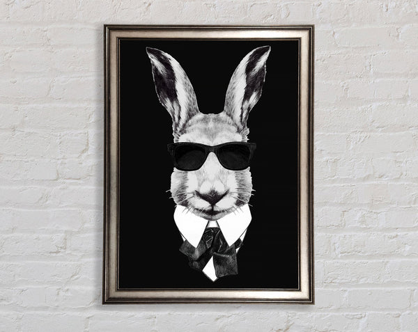 Mafia Rabbit