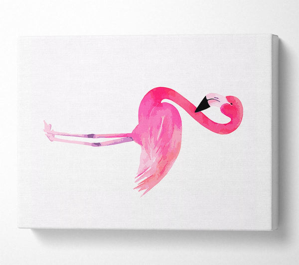 Pink Flamingo