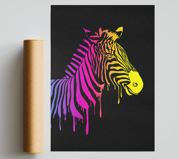 Zebra Rainbow