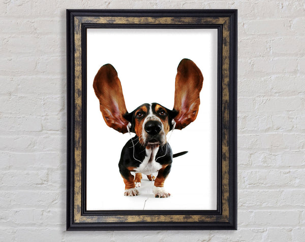 Basset Hound Music