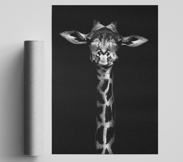 Cute Giraffe