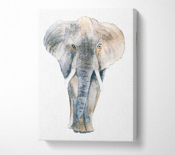 Elephant Drawing