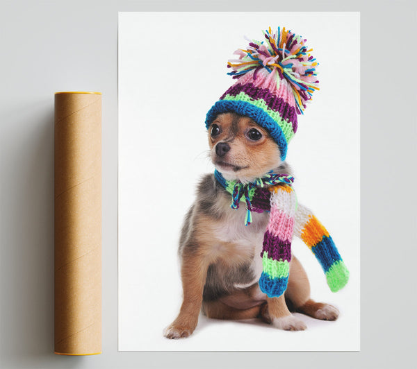 Chihuahua Dog Dressed For Winter