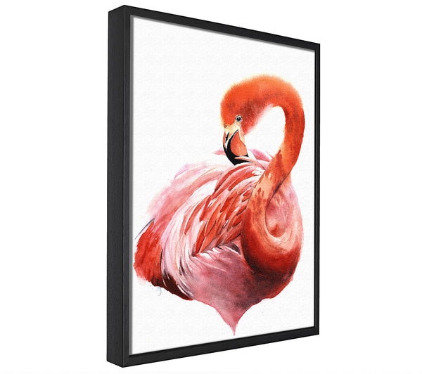 A picture of a Flamingo Groom framed canvas print sold by Wallart-Direct.co.uk