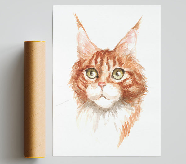 Ginger Tom Cat