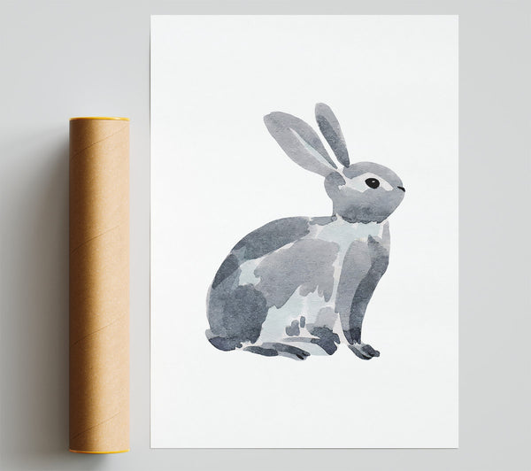 Grey Rabbit