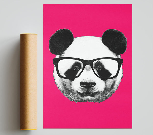 Funky Panda