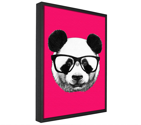 A picture of a Funky Panda framed canvas print sold by Wallart-Direct.co.uk