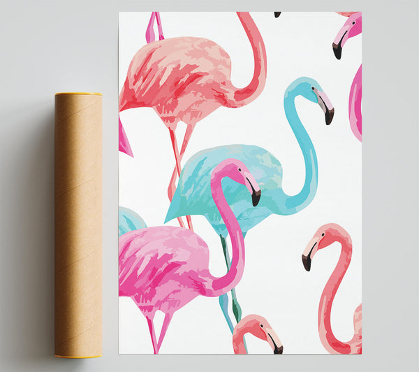 Flamingo Colours