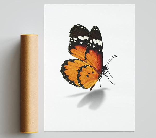 Orange Butterfly