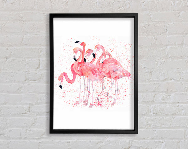 Pink Flamingo Splash