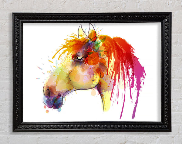 Beautiful Rainbow Horse