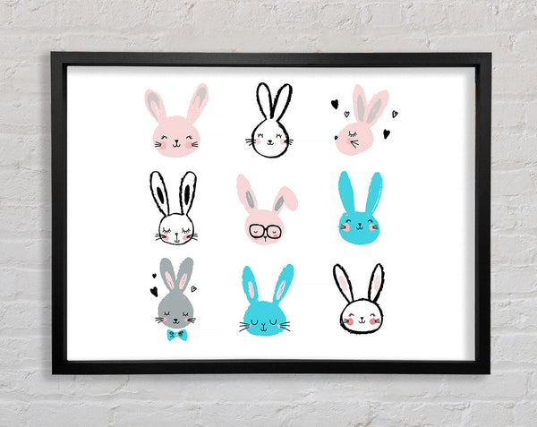 Rabbit Faces