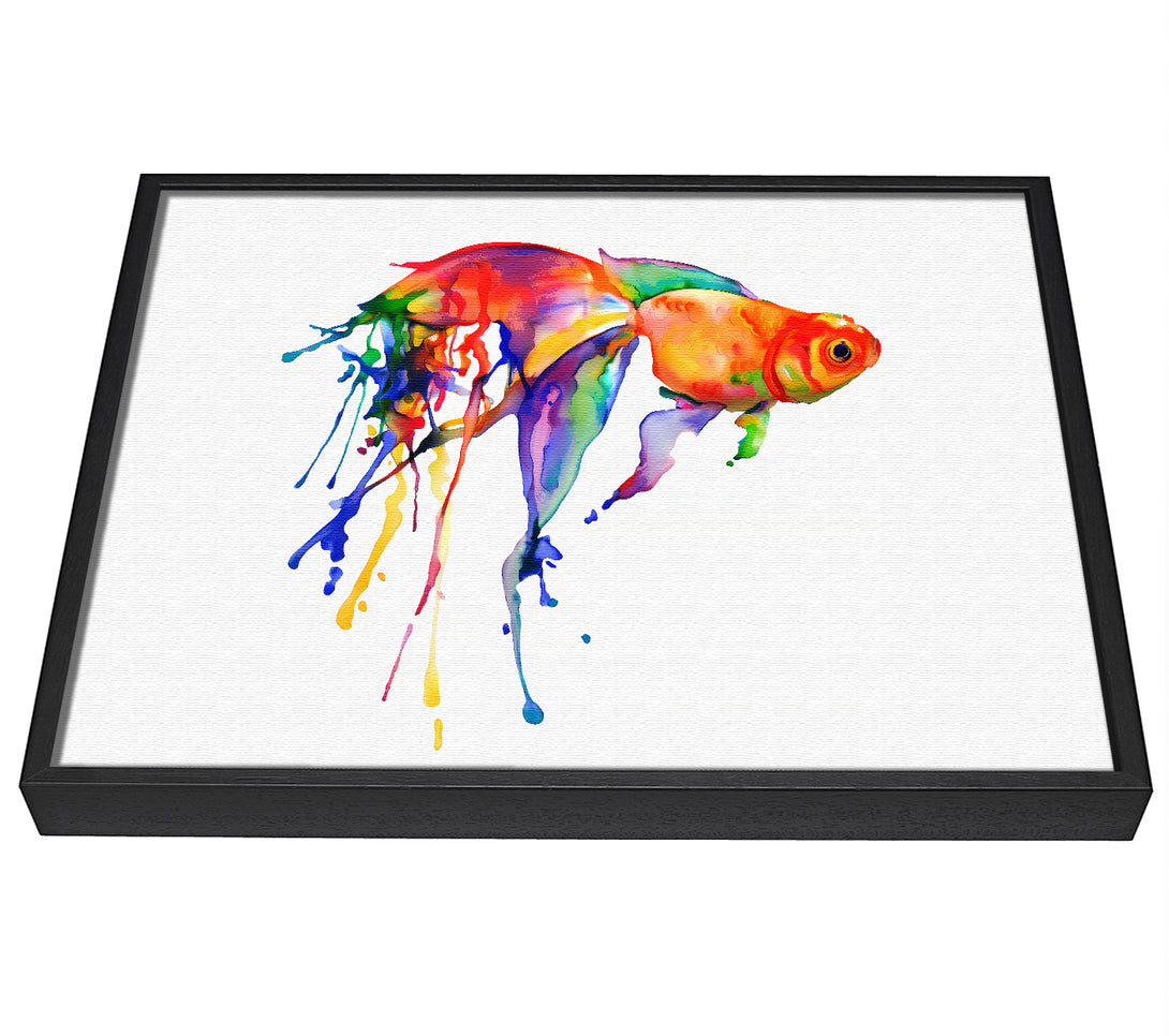 A picture of a Rainbow Goldfish framed canvas print sold by Wallart-Direct.co.uk